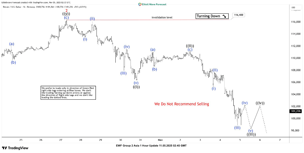 埃略特波浪分析：比特币下跌形态暗示进一步滑落 [视频]