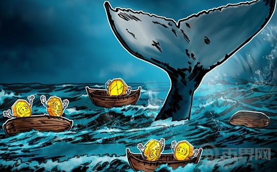 比特币市场走势是否真的由“巨鲸”所决定？