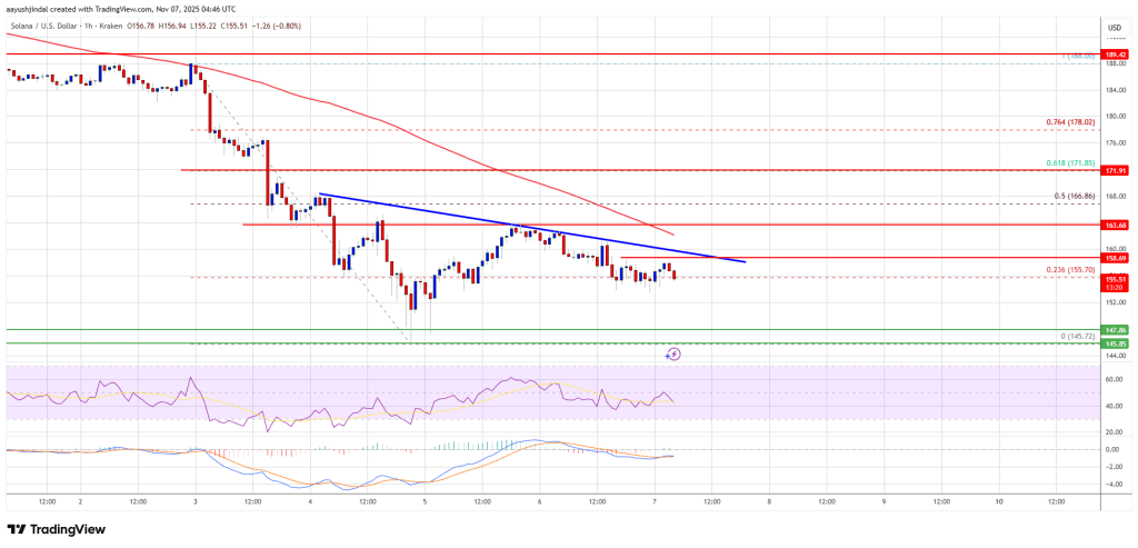 Solana (SOL) 难以反弹,165 美元关口难破。