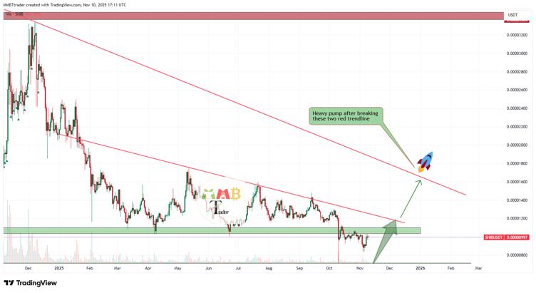 2025 年的 Shiba Inu (SHIB)：投资 0.035 美元的加密货币，将早期投资者变成百万富翁