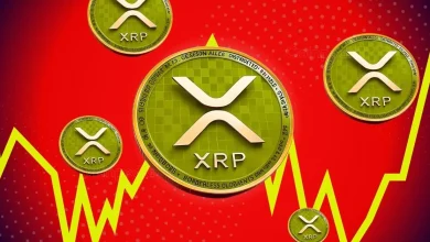 Explaining the Reasons for the Sharp Decline in XRP ETF Price