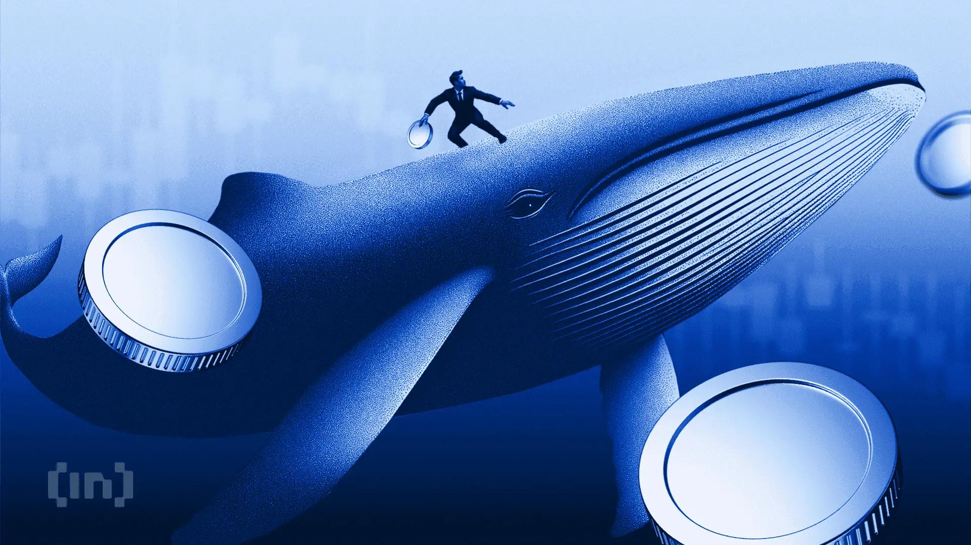 以太坊在海耶斯抛售400万美元后，巨鲸觉醒，成功挺过3100美元的跌势