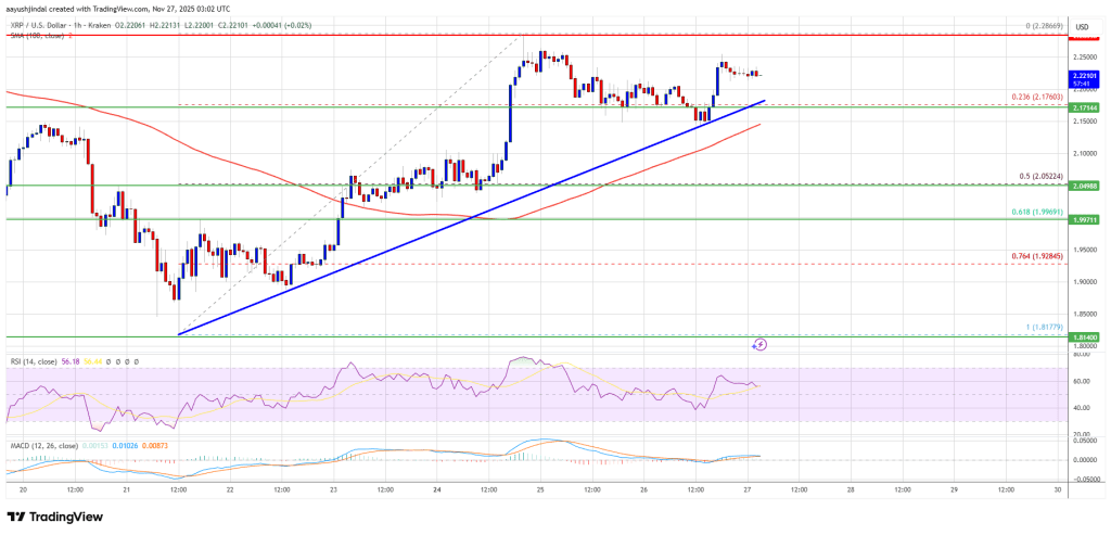 XRP价格上涨势头暂缓，BTC和ETH加速复苏势头